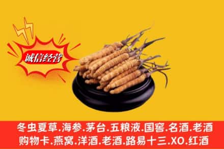 深泽县求购回收虫草多少钱每克